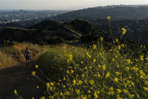 Opinion: How California’s landscape was transformed to fit European perceptions